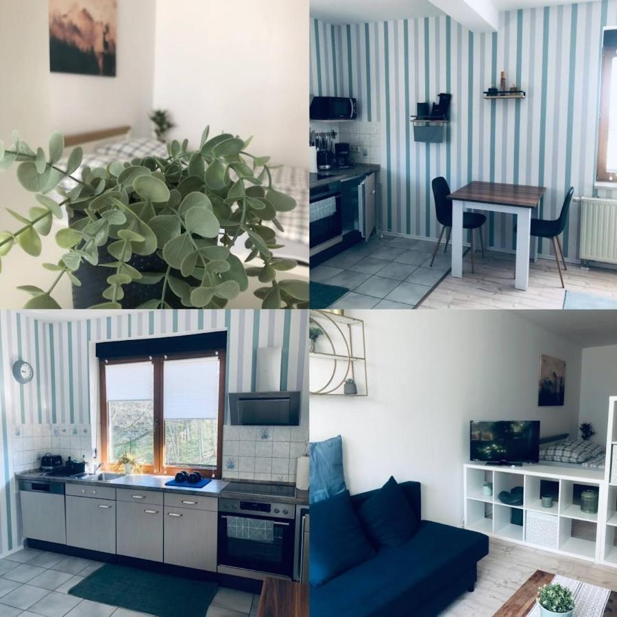 Ferienwohnung Shakira Penig Экстерьер фото
